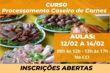 CURSO DE PROCESSAMENTO CASEIRO DE CARNES