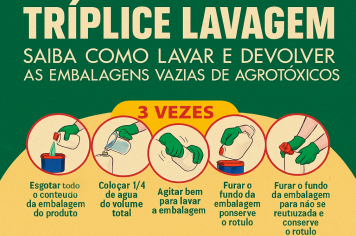 Tríplice lavagem: