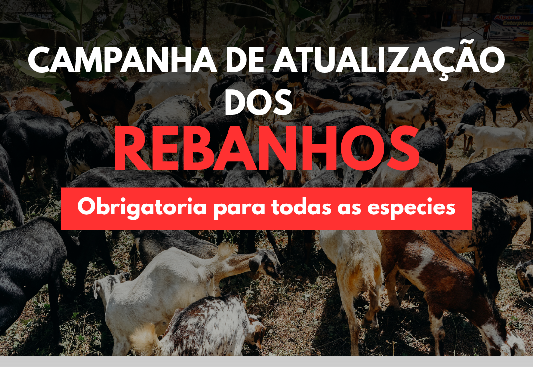 SECRETARIA MUNICIPAL DE AGRICULTURA E ABASTECIMENTO INFORMA