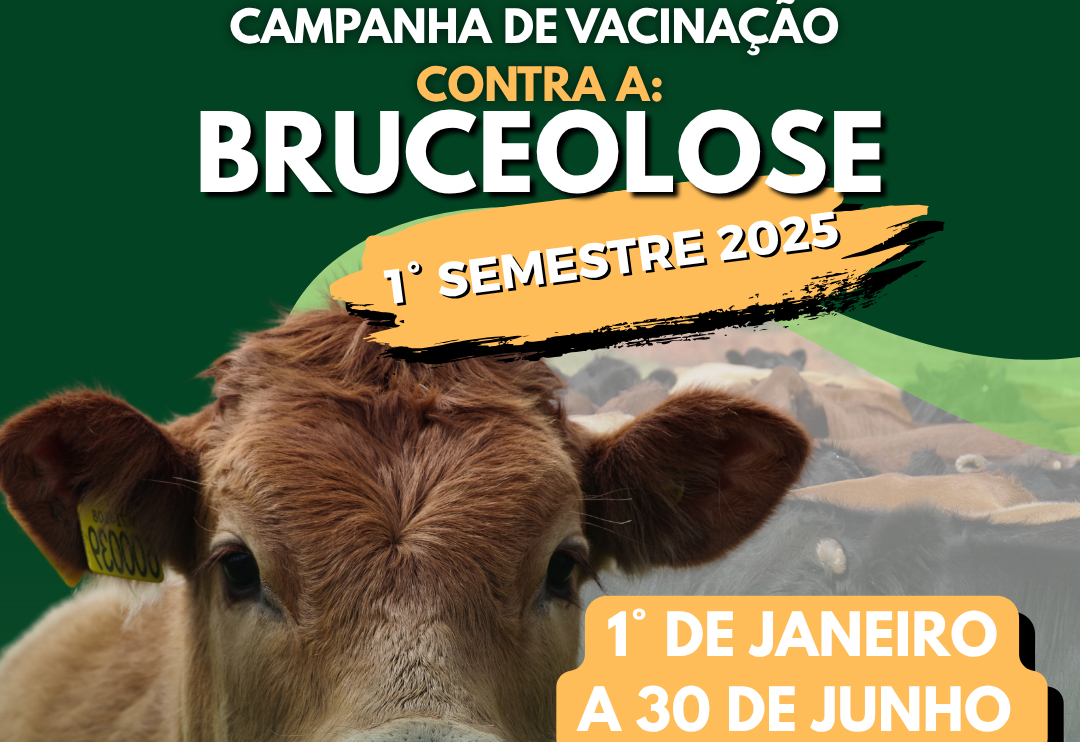 Campanha de Vacinação contra a brucelose